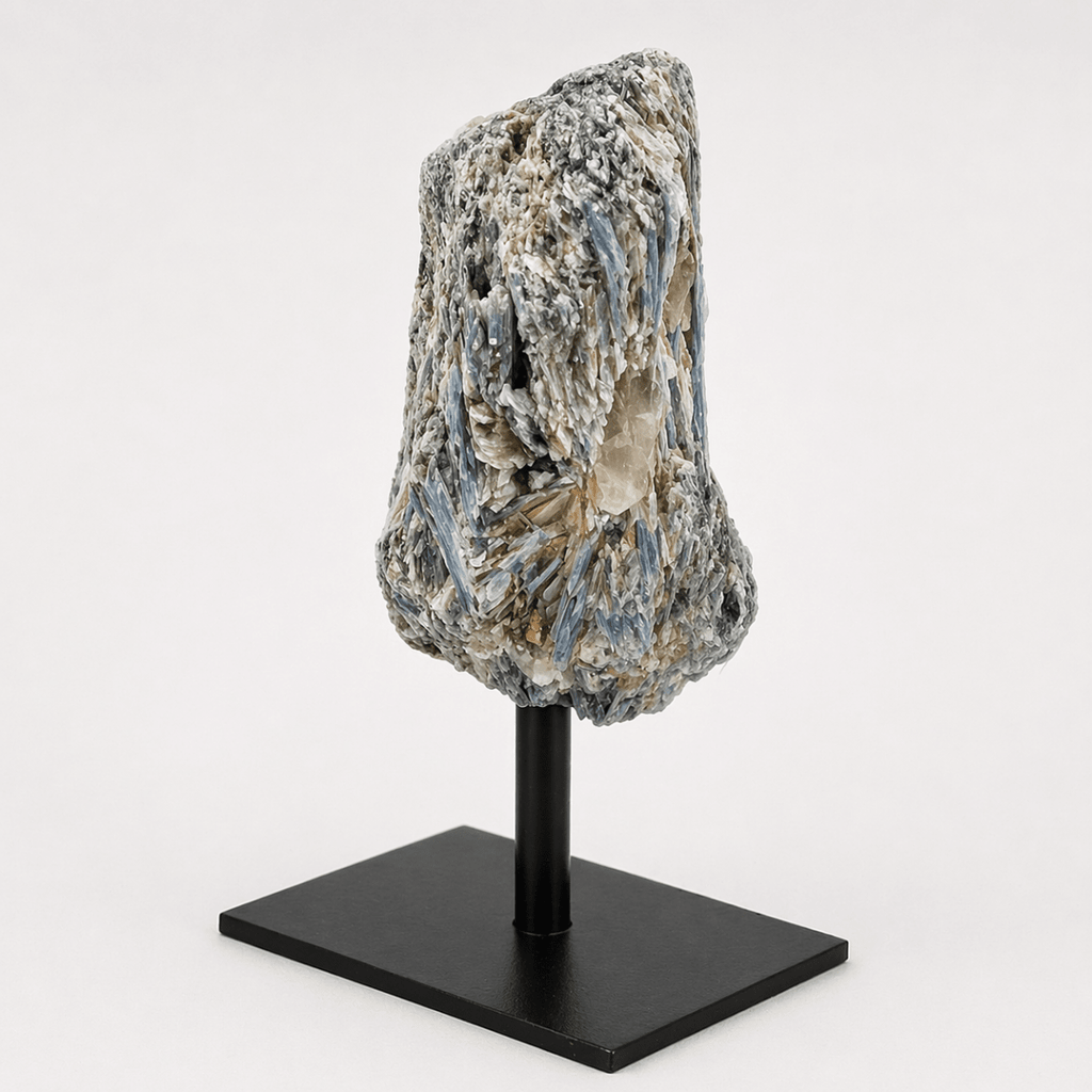Regal Rebel 22 presents The Rough Kyanite on Metal Stand