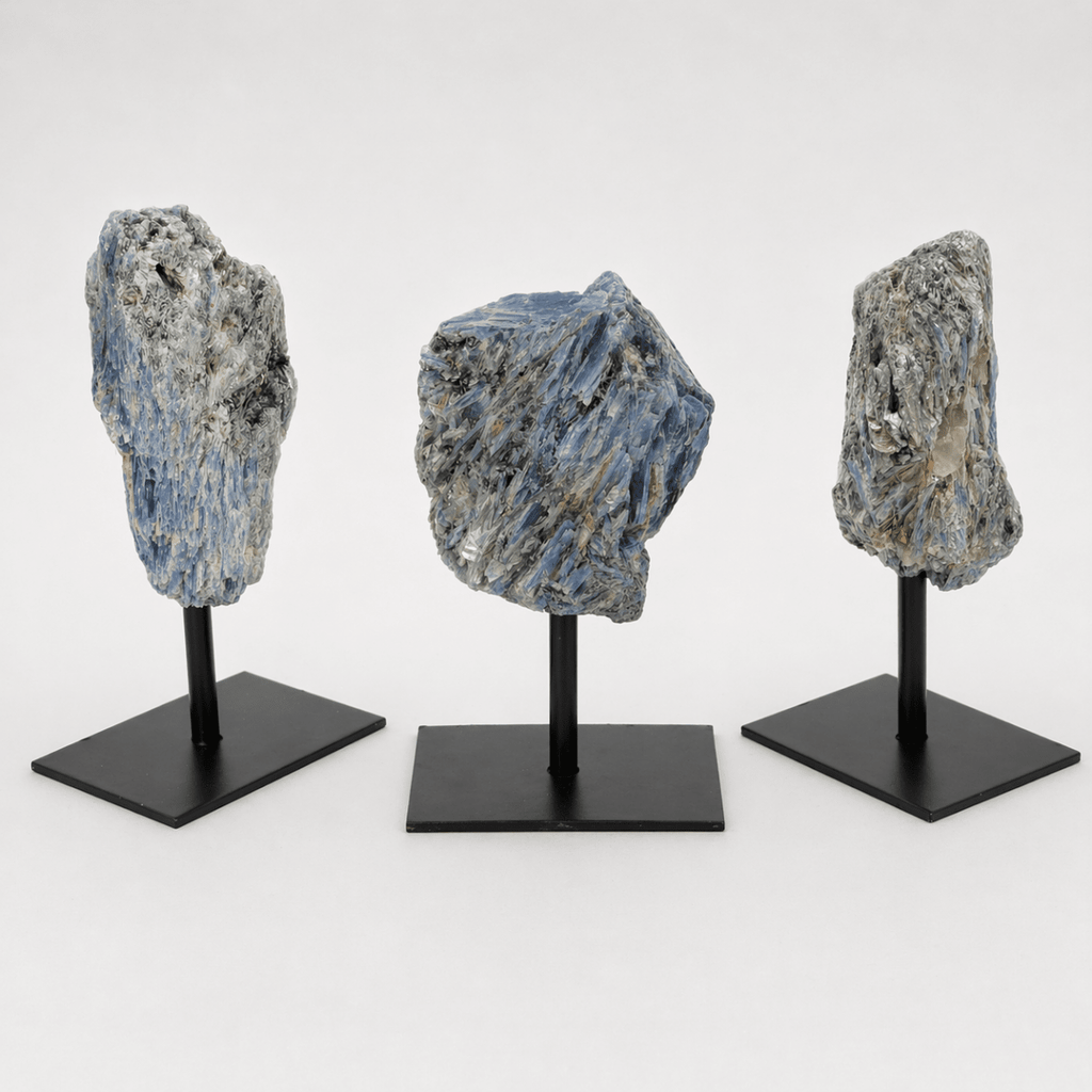 Regal Rebel 22 presents The Rough Kyanite on Metal Stand