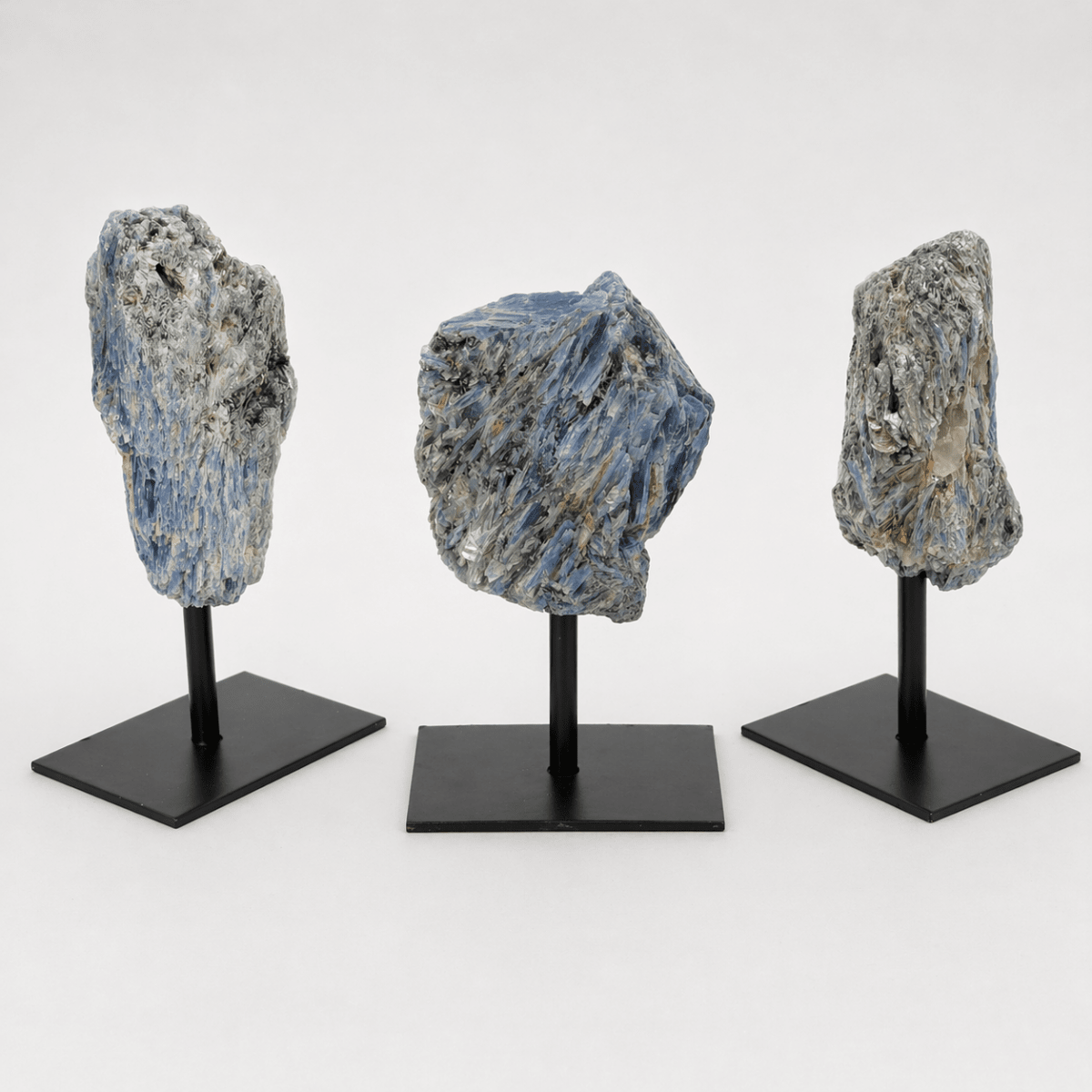 Regal Rebel 22 presents The Rough Kyanite on Metal Stand