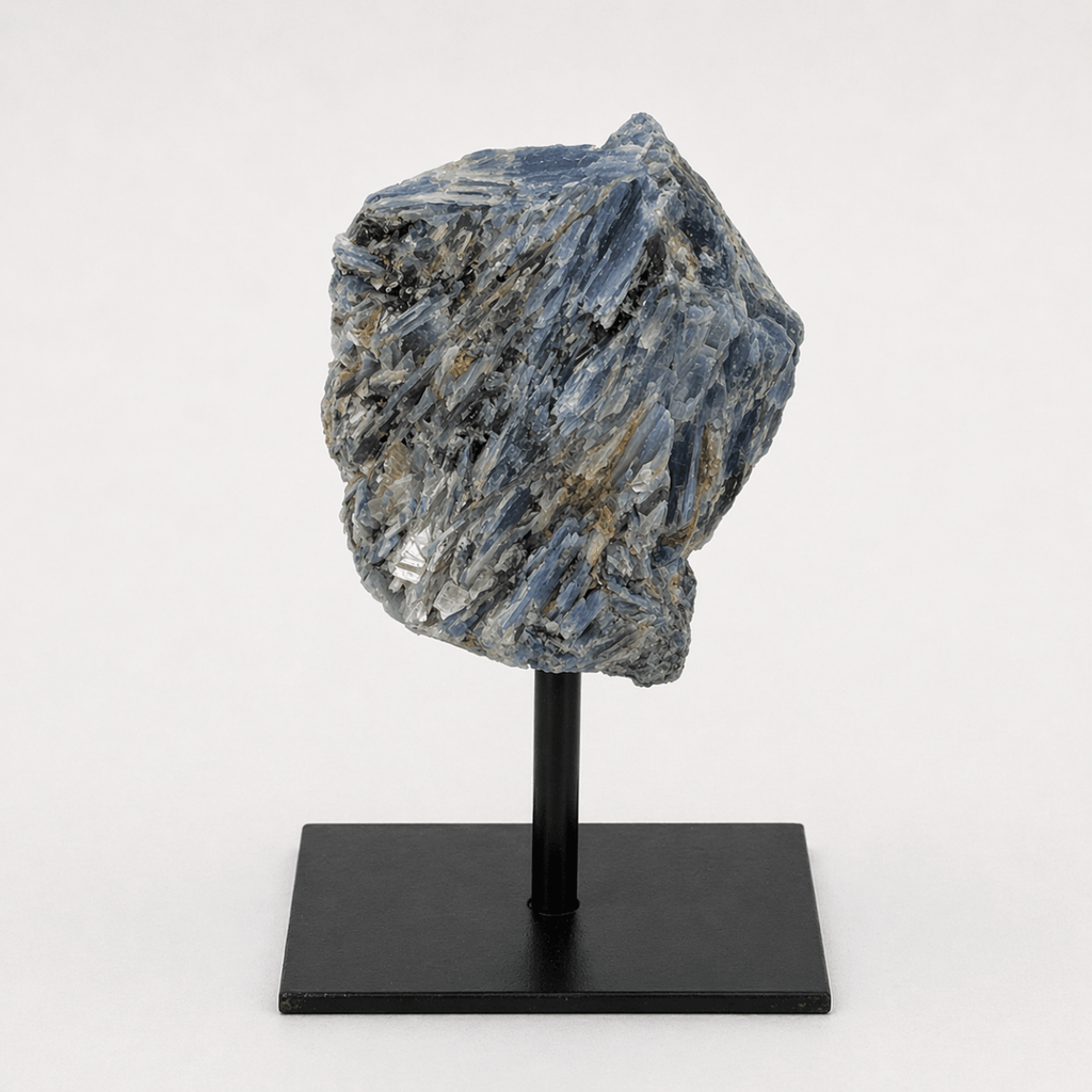 Regal Rebel 22 presents The Rough Kyanite on Metal Stand