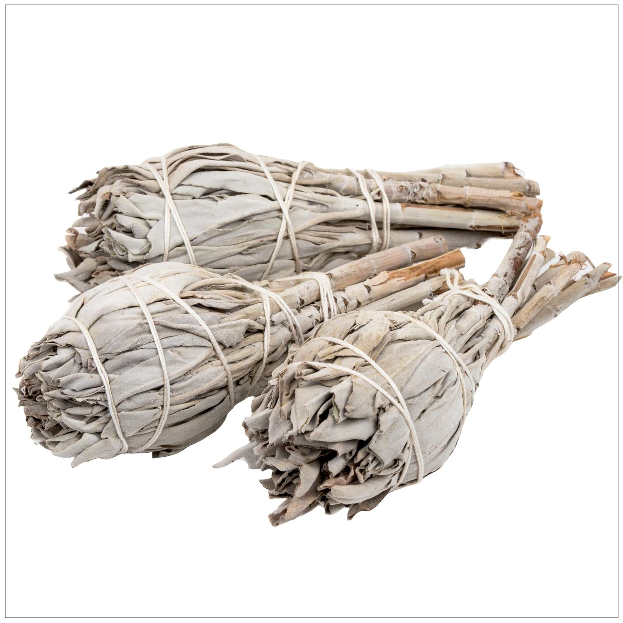 Regal Rebel 22 presents The Sage Smudge